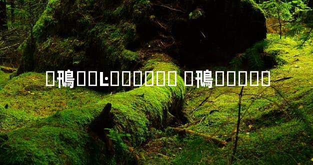 �鳵��Ŀ������ �鳵�շѱ�׼